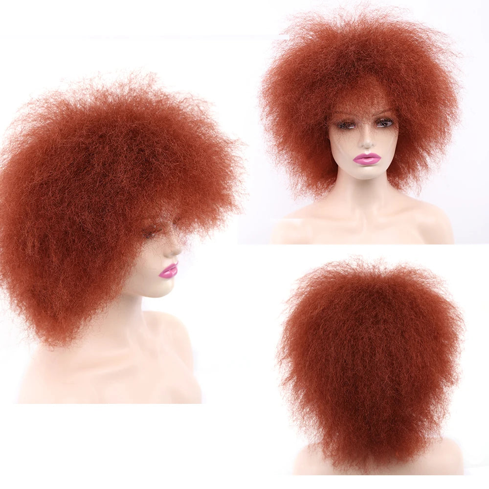 Amir Synthetic Kinky Curly Wig Short Afro Wigs Black Brown Red Color 6inch Short Wig for Women