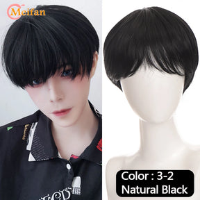 MEIFAN Synthetic Short Cosplay Lolita Anime Men Wig Male Straight Hair High Temperature Fiber Pink Blue Blonde Ombre Black Wig