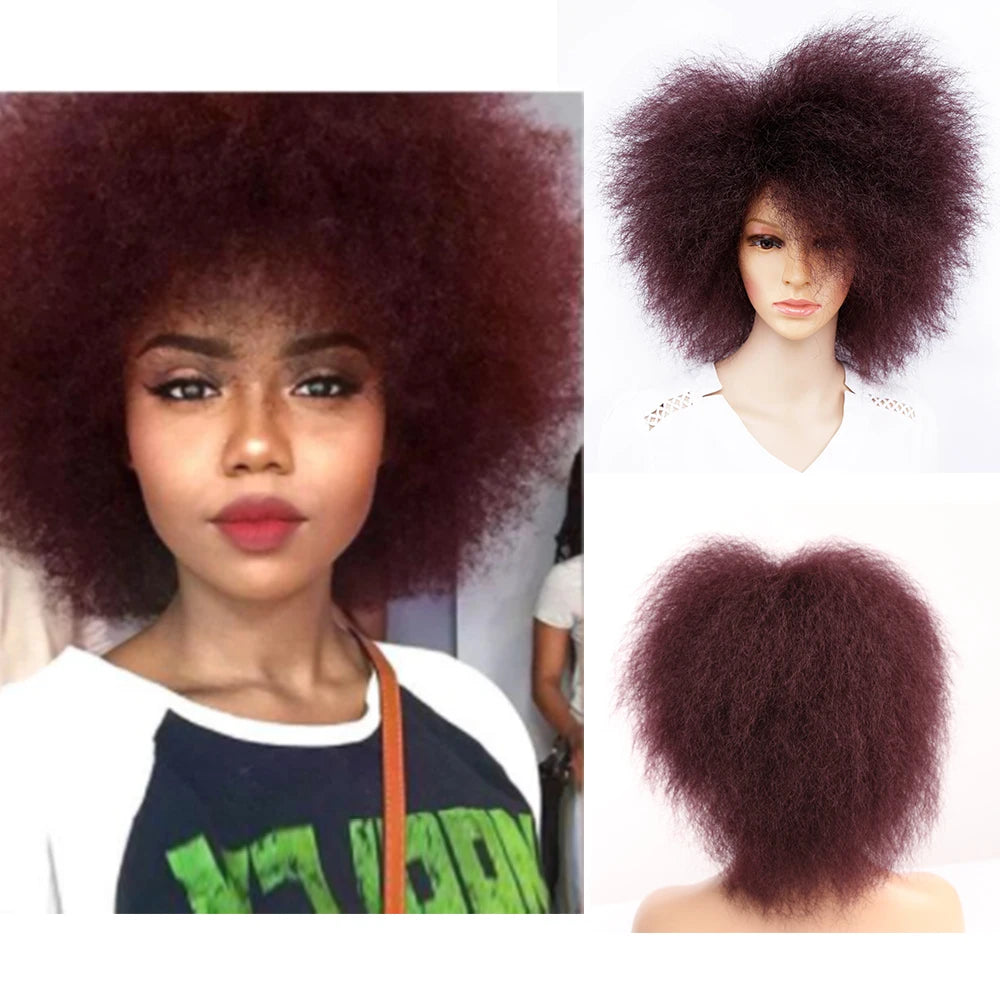 Amir Synthetic Kinky Curly Wig Short Afro Wigs Black Brown Red Color 6inch Short Wig for Women